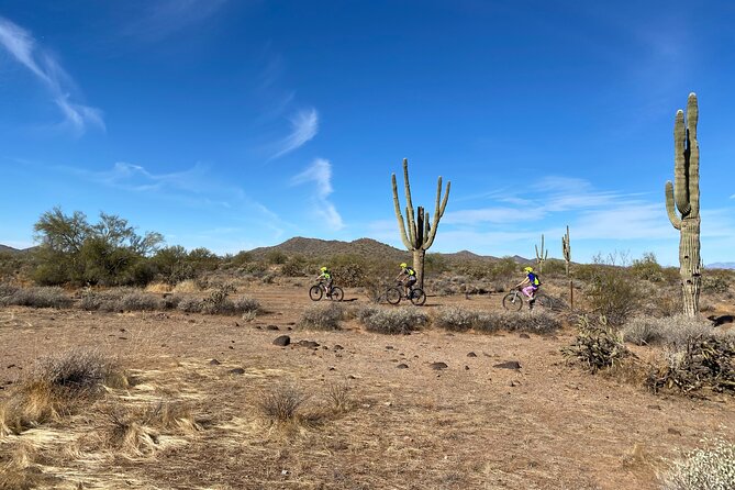 2 Hour Sonoran Desert Private Guided Mountain Bike Tour - What happens during the two-hour ride