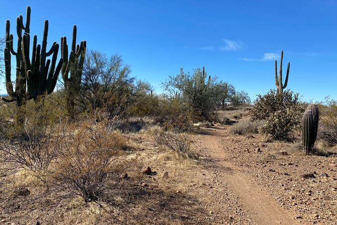 2 Hour Sonoran Desert Private Guided Mountain Bike Tour - How difficult is the trail?