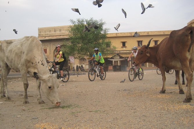 3-Hour Morning Bike Tour of Jaipur - Riding through the Pink City before breakfast