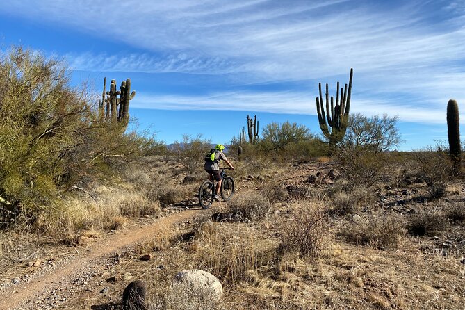 3 Hour Sonoran Desert Private Guided Mountain Bike Tour - How the Three Hours Usually Feel