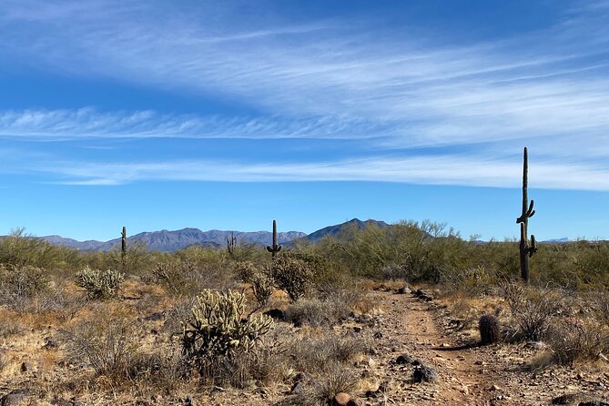 3 Hour Sonoran Desert Private Guided Mountain Bike Tour - What the Private Format Adds