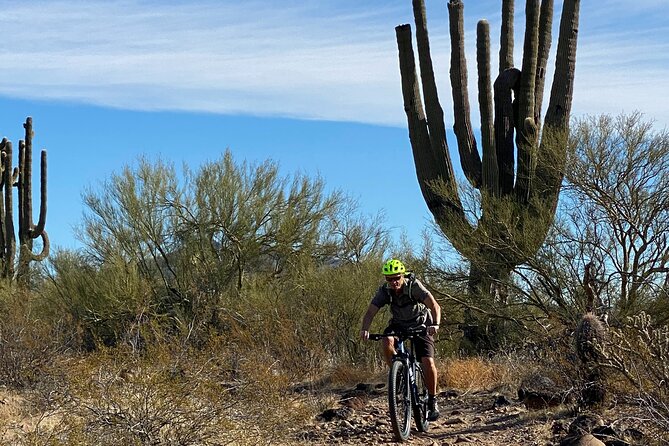3 Hour Sonoran Desert Private Guided Mountain Bike Tour - Riding Through the Sonoran Desert