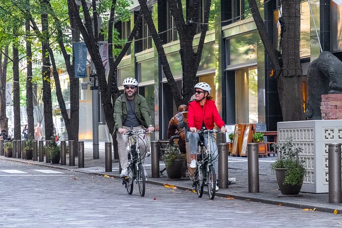 3-Hour Tokyo Private E-Bike Tour Starting from Your Hotel - Why this three-hour ride works so well in Tokyo
