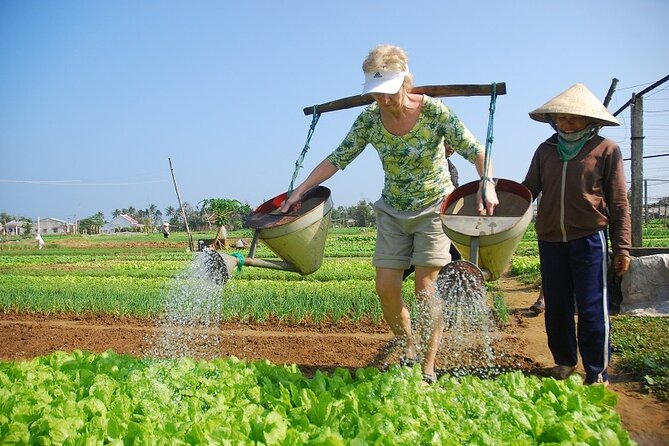3 Hours Hoi An Countryside Bicycle Tour - Leaving Hoi An for rice fields and village roads