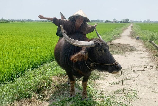 3 Hours Hoi An Countryside Bicycle Tour - Tra Que Herb Vegetable Village and the food on your plate