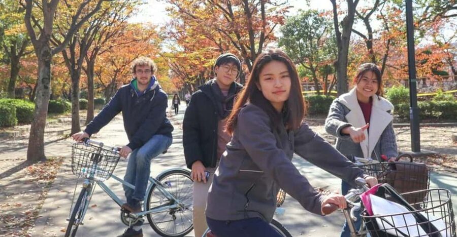 5-Hour Osaka Highlights Bike Tour with Lunch - Guides, pace, and how much cycling is involved