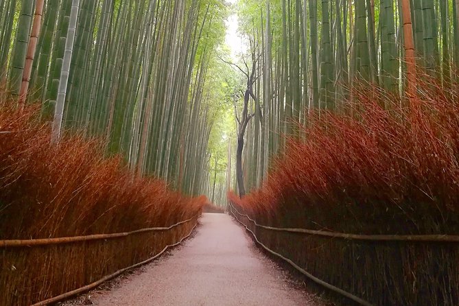 Afternoon Kyoto Bike Tour: Bamboo Forest, Monkeys & Hidden Spots - Tenryu-ji’s Sogenchi Garden