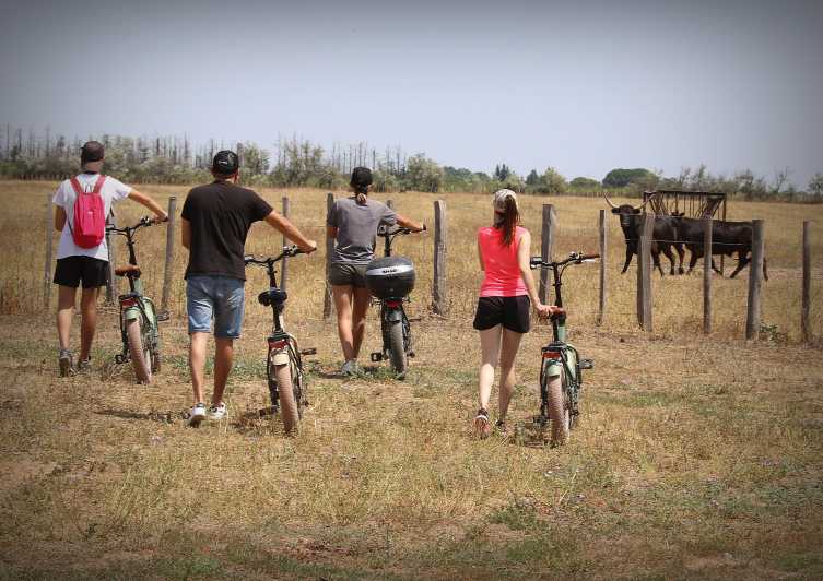 Aigues Mortes: safari en vélo - Ebike tour in Camargue - Wildlife stops with horses, bulls and birds