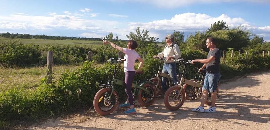 Aigues Mortes: safari en vélo - Ebike tour in Camargue - Who will enjoy this Camargue bike tour?