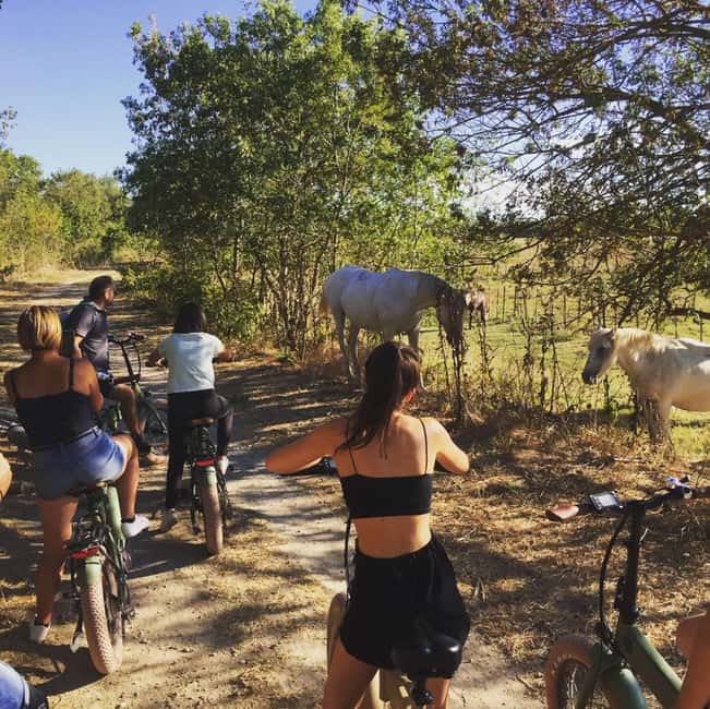 Aigues Mortes: safari en vélo - Ebike tour in Camargue - Riding through vineyards, marshes and canals