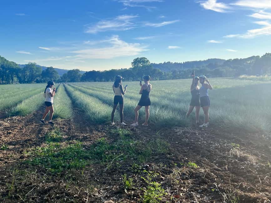 Aix-en-Provence: E-Bike Tour of Mount Sainte-Victoire - Key points to know before you book