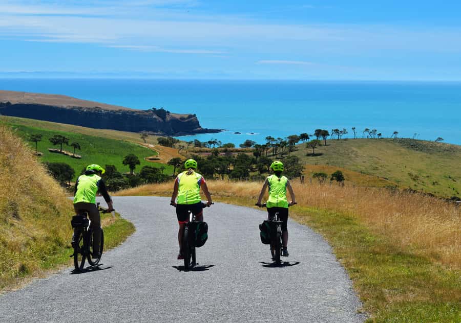 Akaroa: Guided Electric Mountain Bike Tour-Lava Loop - Why Akaroa’s Lava Loop is worth the climb