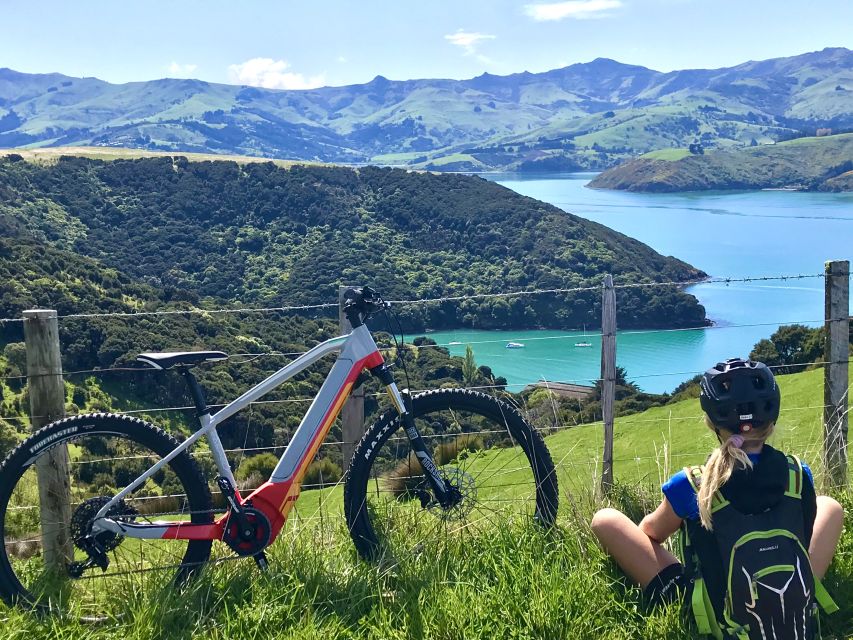 Akaroa: Guided Electric Mountain Bike Tour-Lava Loop - Practical preparation for a better ride
