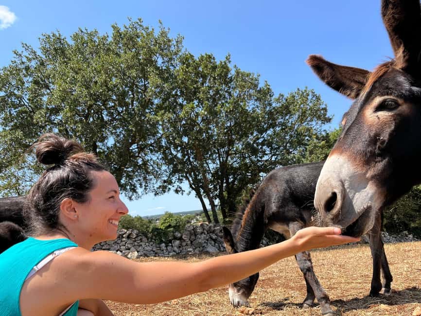 Alberobello: Guided e-bike tour + mill & donkey farm - Should you book the Alberobello e-bike tour?