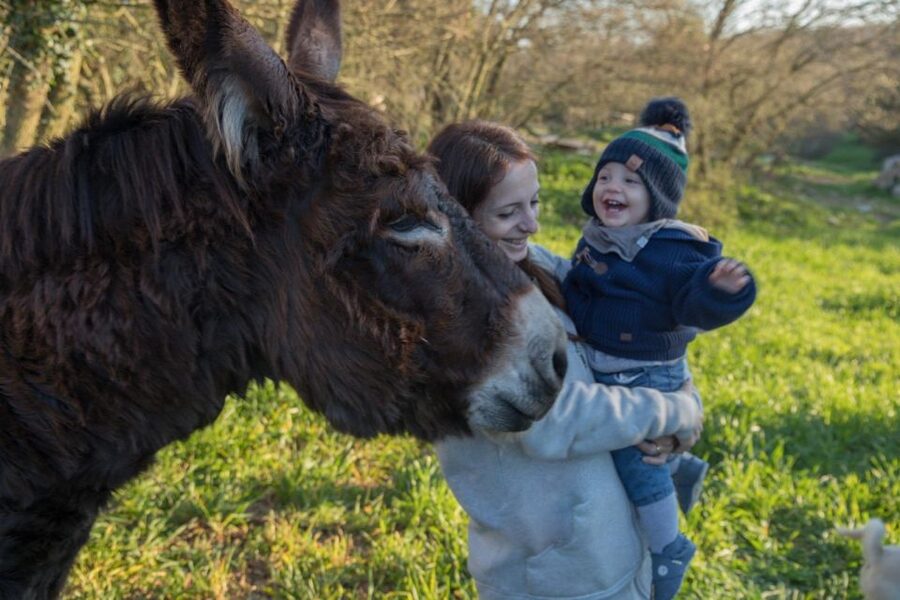 Alberobello: Guided e-bike tour + mill & donkey farm - Who will enjoy this ride most