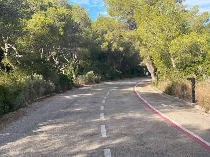 Albufera Bike Adventure: Wetlands, Beaches & Biodiversity - From Ruzafa to the Albufera coast