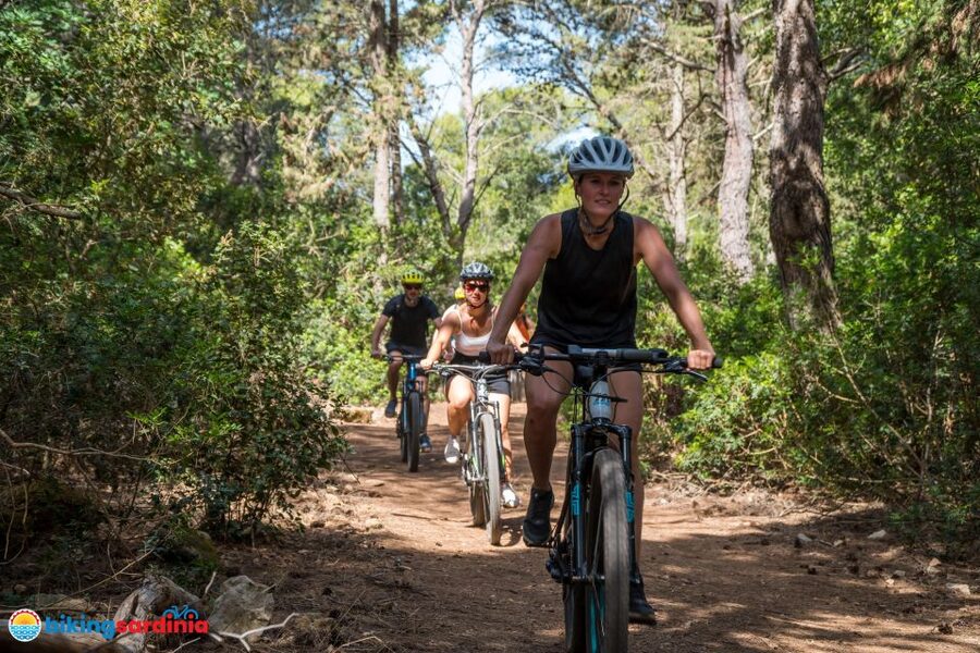 Alghero: E-bike tour inside the Natural Park of Porto Conte - Who should book this Alghero e-bike tour?