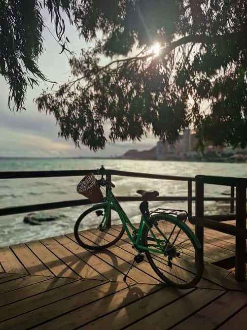 Alicante City Bike Tour. Only Small groups - El Palmeral Park and the wider route