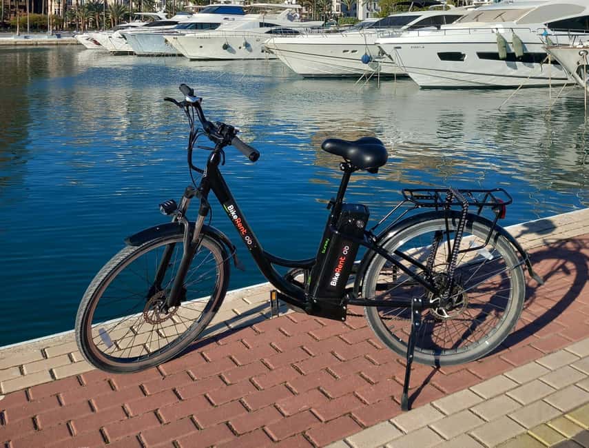 Alicante City Bike Tour. Only Small groups - Mercado Central and Plaza de los Luceros