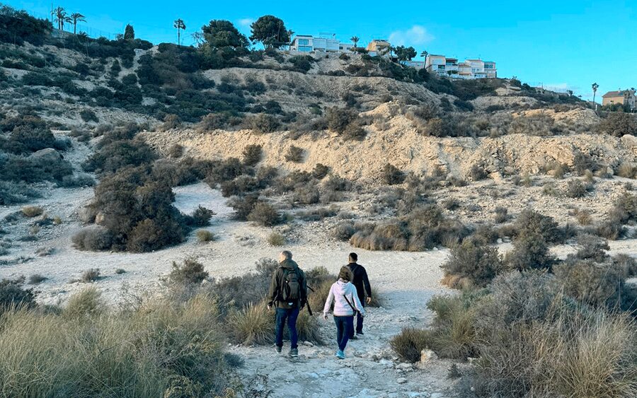 Alicante: Coastline E-Bike and Hiking Tour - What the guide adds to the experience