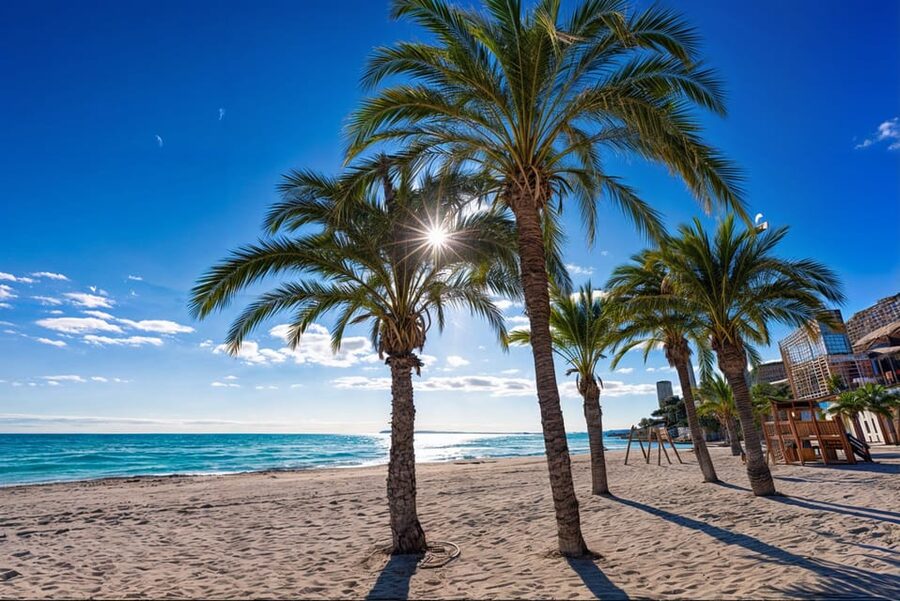 Alicante: Spot the Mediterranean by E-bike - Leaving the city by electric bike
