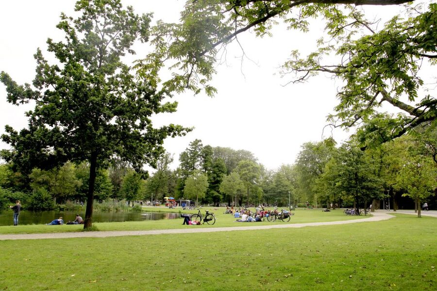 Amsterdam: 3h E-Bike Tour with break - Guide quality and group control