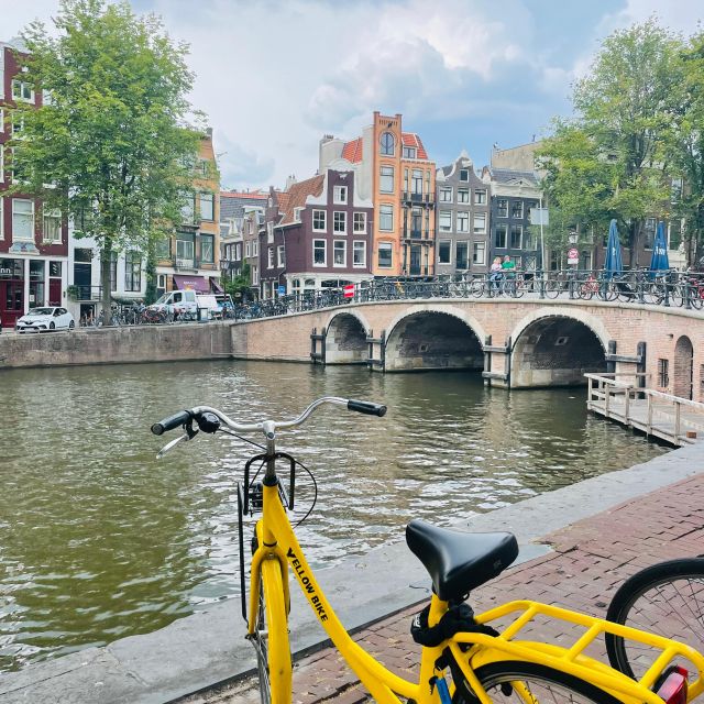 Amsterdam Bike Rental: Central Station & City Center - Understanding the brakes before entering traffic