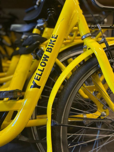Amsterdam Bike Rental: Central Station & City Center - Booking details that affect your day