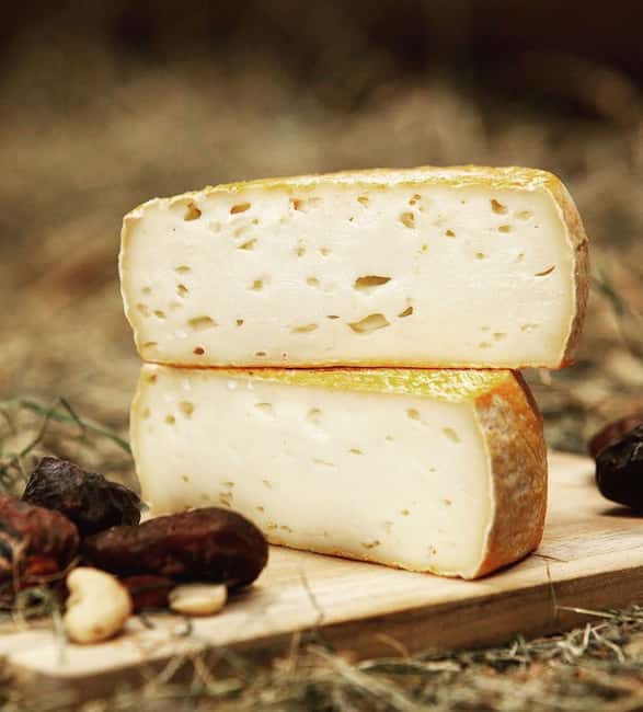 Amsterdam: Cheese Tasting, Windmill & Countryside Bike Tour - What the ride feels like in practice