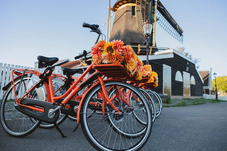 Amsterdam: Cheese Tasting, Windmill & Countryside Bike Tour - Ferry ride and return to Amsterdam