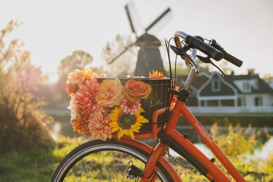 Amsterdam: Cheese Tasting, Windmill & Countryside Bike Tour - The value at $46