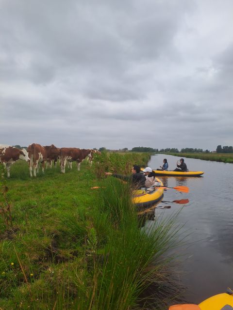 Amsterdam: Countryside Bike and Kayak Guided Tour - Key points at a glance