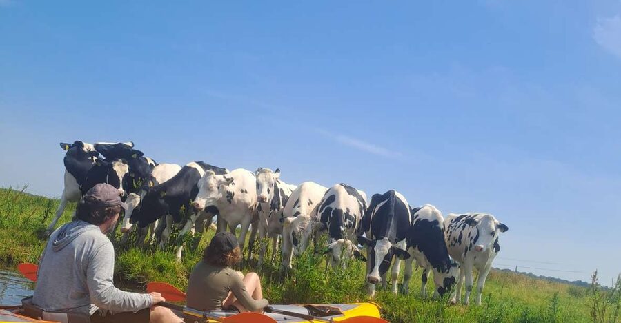 Amsterdam: Countryside Bike and Kayak Guided Tour - d’Admiraal Windmill and the first hour by bike
