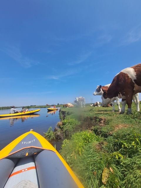 Amsterdam: Countryside Bike and Kayak Guided Tour - The final bike ride back through Amsterdam-Noord