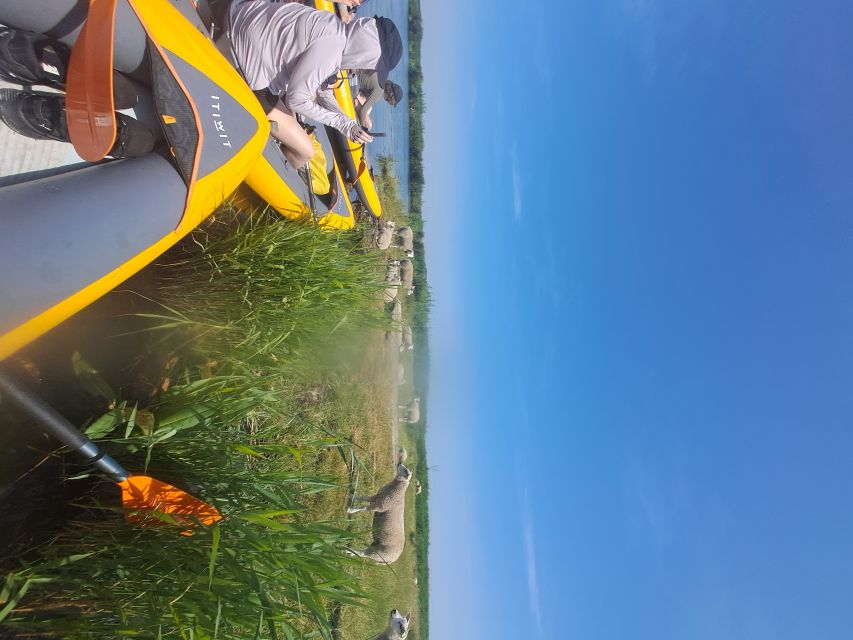 Amsterdam: Countryside Bike and Kayak Guided Tour - What the $84 price gives you