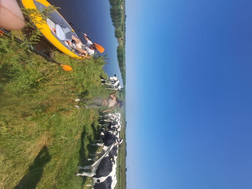Amsterdam: Countryside Bike and Kayak Guided Tour - Who will enjoy this tour most