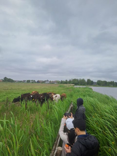 Amsterdam: Countryside Bike and Kayak Guided Tour - Starting at A’DAM Lookout and crossing to Amsterdam-Noord