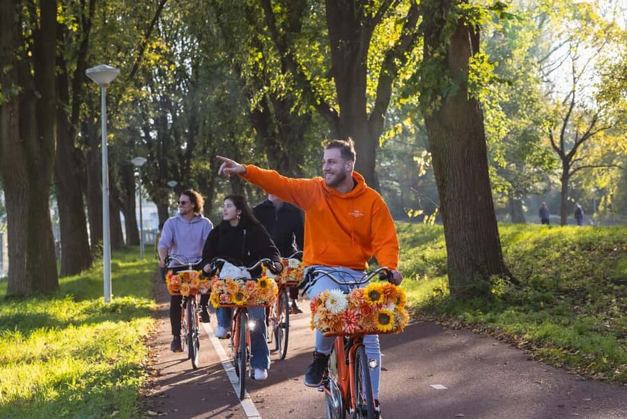 Amsterdam: E-Bike, Cheese, Windmill & Countryside Tour - The windmill stop is about the setting, not entry