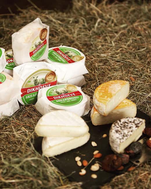 Amsterdam: E-Bike, Cheese, Windmill & Countryside Tour - The farm visit is the heart of the outing