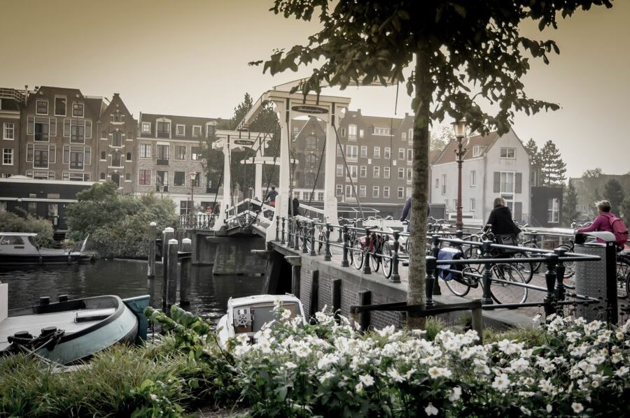 Amsterdam: Guided City Bike Tour in French - Starting at IJdok and riding through the Western Islands