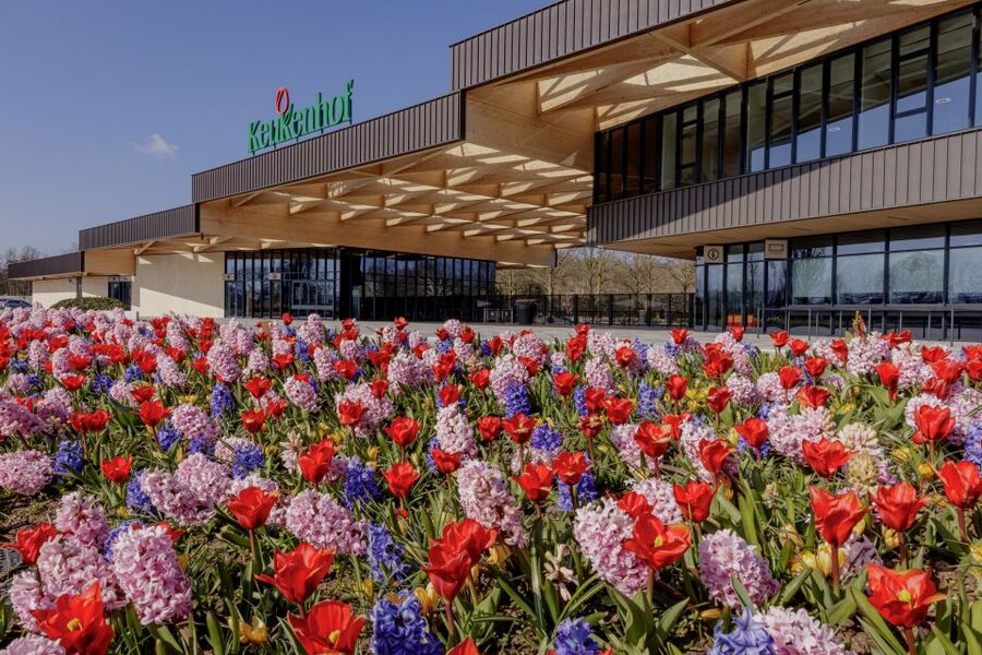 Amsterdam: Half-Day Flower Fields and Keukenhof Bicycle Tour - Key points to know before booking