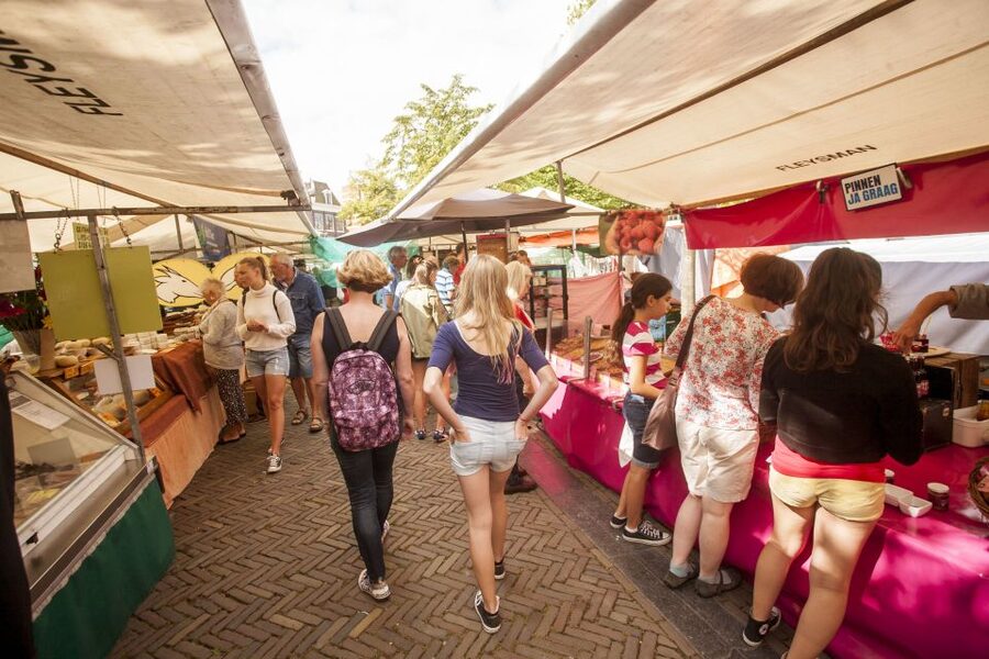 Amsterdam: Hidden Gems & Highlights Guided Bike Tour - Who should book this Amsterdam bike tour