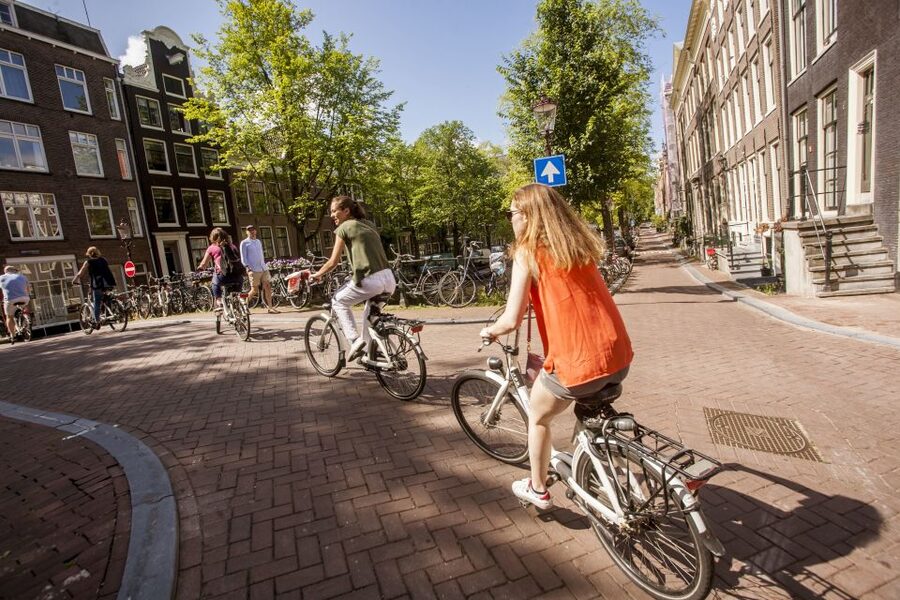 Amsterdam: Hidden Gems & Highlights Guided Bike Tour - Vondelpark offers the easiest stretch