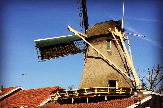 Amsterdam's Countryside Half-Day Bike Tour in Small Group - Price, pace, and who gets good value