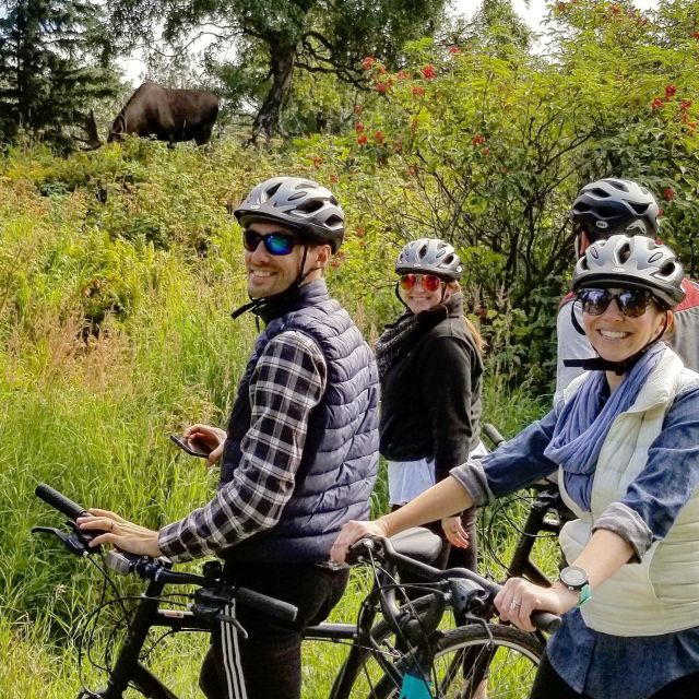 Anchorage: Coastal Trail 3-Hour City Bike Tour - Who should book this tour?
