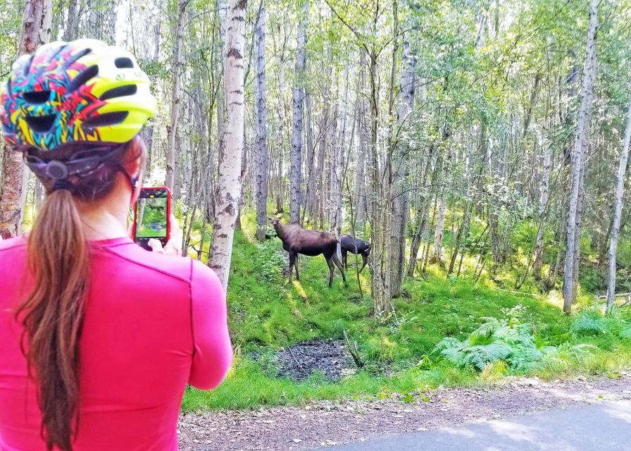 Anchorage: Coastal Trail 3-Hour City Bike Tour - Westchester Lagoon and the return toward downtown
