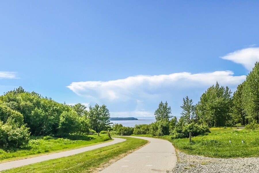 Anchorage: Coastal Trail 3-Hour City Bike Tour - What the $139 price includes