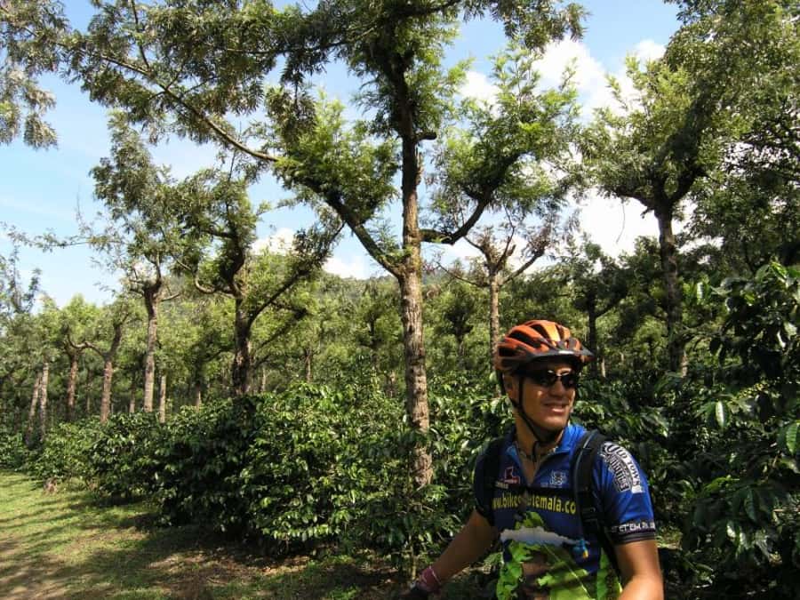 Antigua Sip 'n Cycle Half-Day Bike Ride and Coffee Tour - Who should book this Antigua coffee tour?