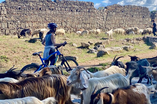 Appian Way & Aqueducts small group e-bike tour(catacombs & food) - A Roman lunch at Fonte Acqua Egeria