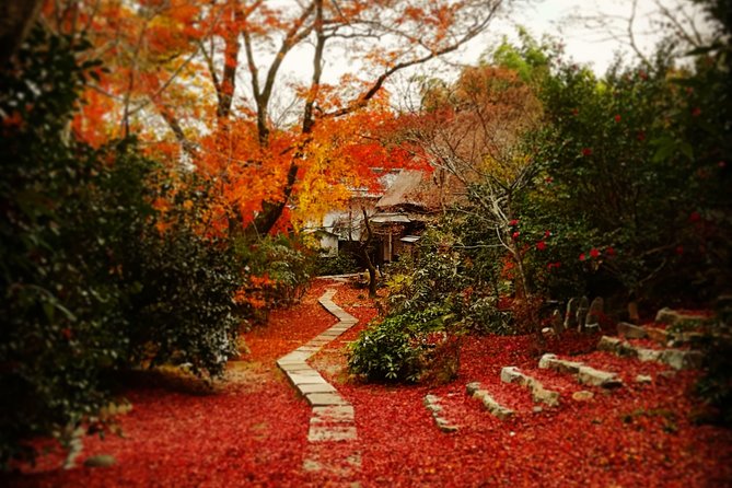 Arashiyama Bamboo Forest & Hidden Gems Bike Tour (Early Bird) - Tenryu-ji and the Sogenchi garden